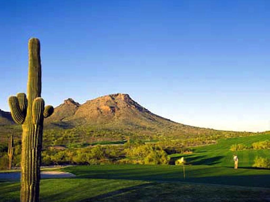 Holiday home Poolside To 1 Of 3 Pool-spa Complexes, Heated & Open 24/7/365! Phoenix